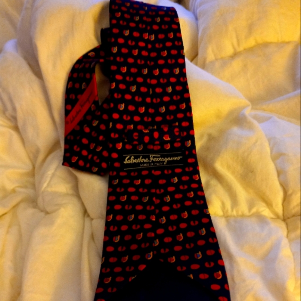Salvatore Ferragamo tie 👔